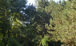 Kam si myslíte, že sa touto cestou dostaneme?
