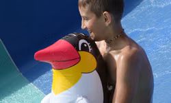 Našli sme si aj parťáka tučniaka.